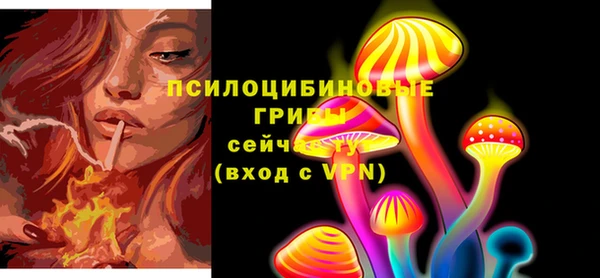 2c-b Алексин