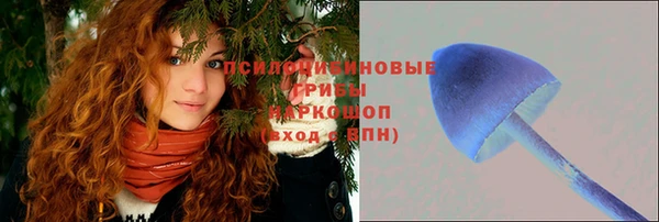 молекула духа Алзамай