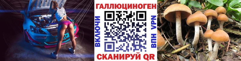 Псилоцибиновые грибы Psilocybe  сколько стоит  Арамиль 